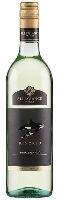 Allegiance Wines Kindred Pinot Grigio